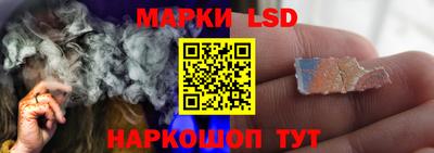 гашик Сланцы