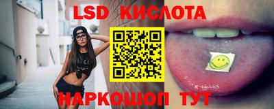 гашик Сланцы