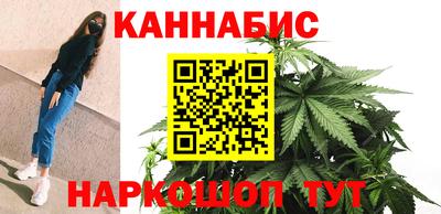 гашик Сланцы