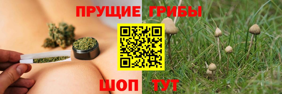 Новочебоксарск  наркошоп  Вход с VPN  Псилоцибиновые грибы прущие грибы 
